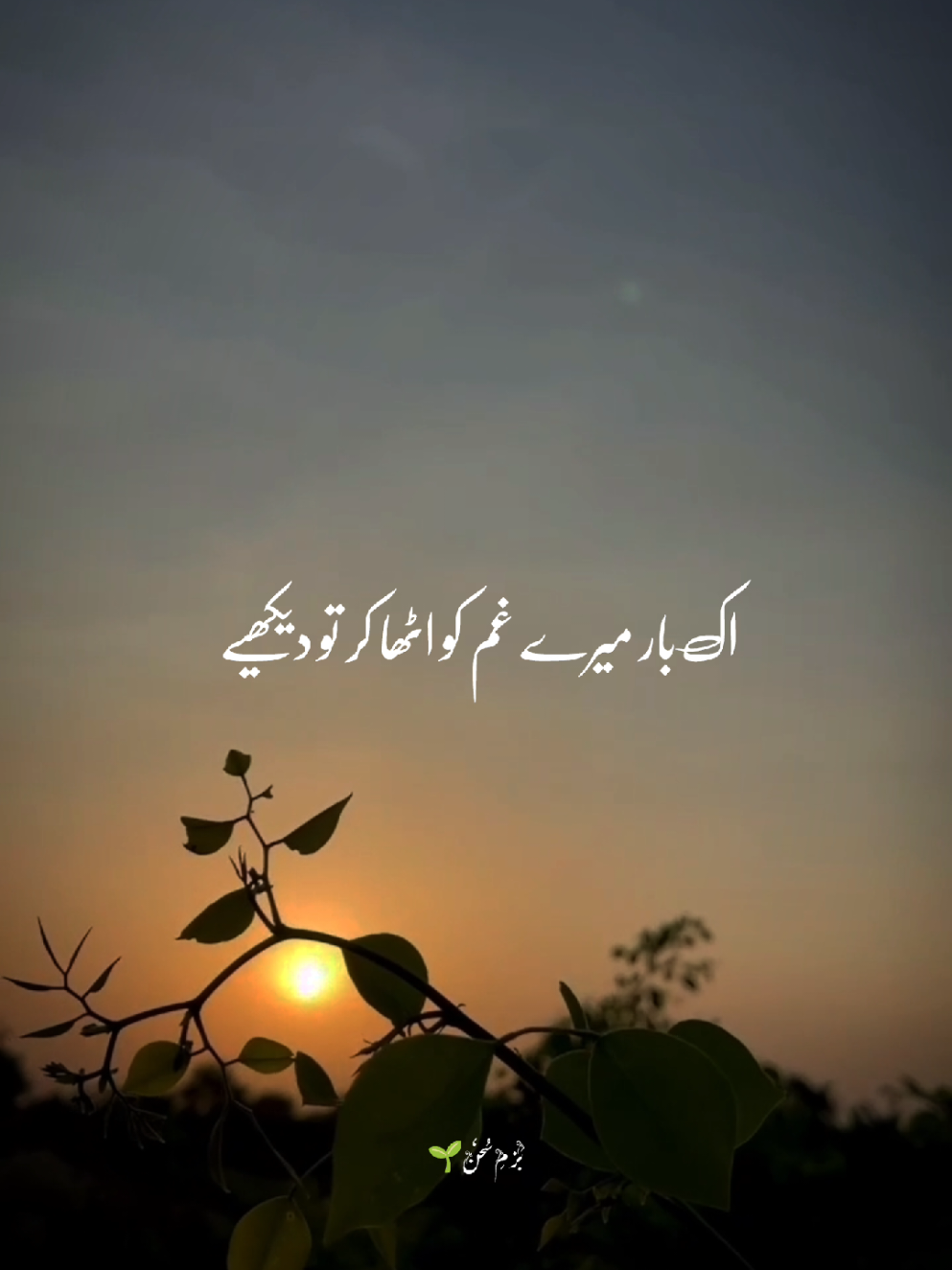 آؤں گا پھر بھی یاد بھلا کر تو دیکھیے 💯💫 #بَزمِ_سُخَن #foryoupage❤️❤️ #hearttouchinglines #urduquotes #shayari #growmyaccount #urdupoetry 