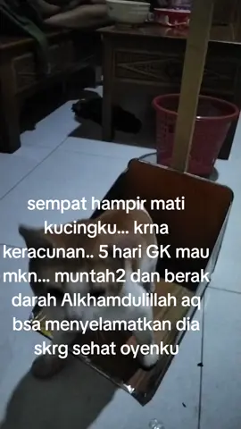 #semuaorang #fypViraltiktok #pengikut #publik 