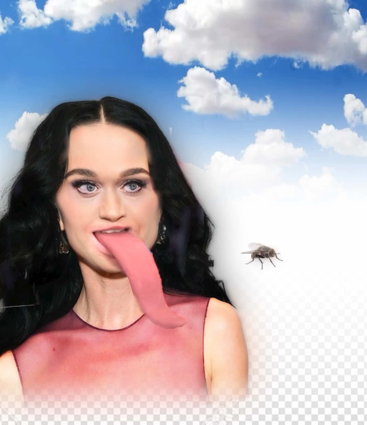 WOW! ❤️ Katy Perry Snack Adventure❤️ #maybecore 