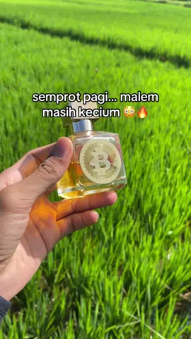 Cek di keranjang kuningnya dapat harga berapa? #parfumviral #parfumbitcoin #WangiAutoNempel 