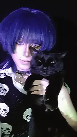 #scarameow #scaramouche #scaramouchecosplay #GenshinImpact #genshinimpactcosplay #genshin 