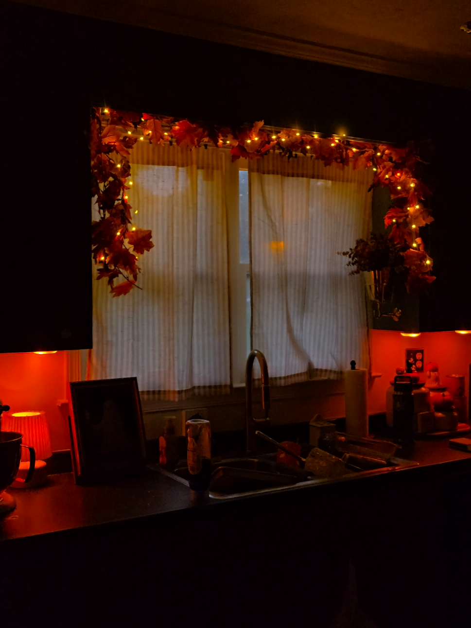 🐈‍⬛️🍁👻🎃🍂 #spookyseason #augtober #fypシ゚viral #halloweendecor #halloween 