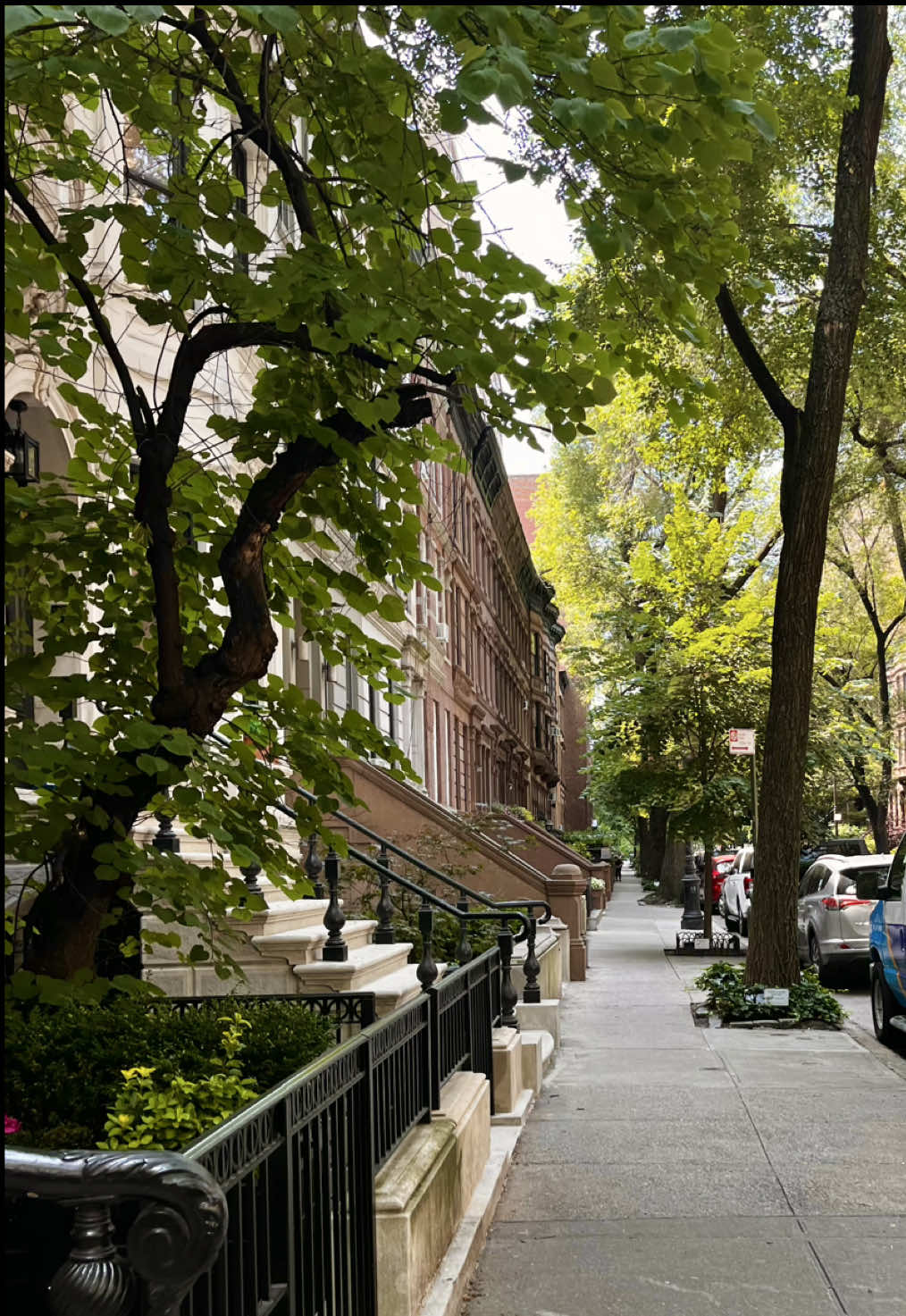 The Perfect UWS Gem!💎#nyc #upperwestside #townhouse 