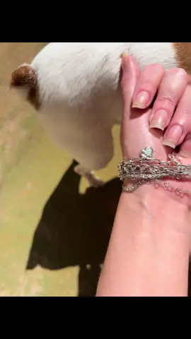 O antes e depois, e o melhor de tudo, fui eu que fiz 🙃🙃 #unhas #vermelho #amo