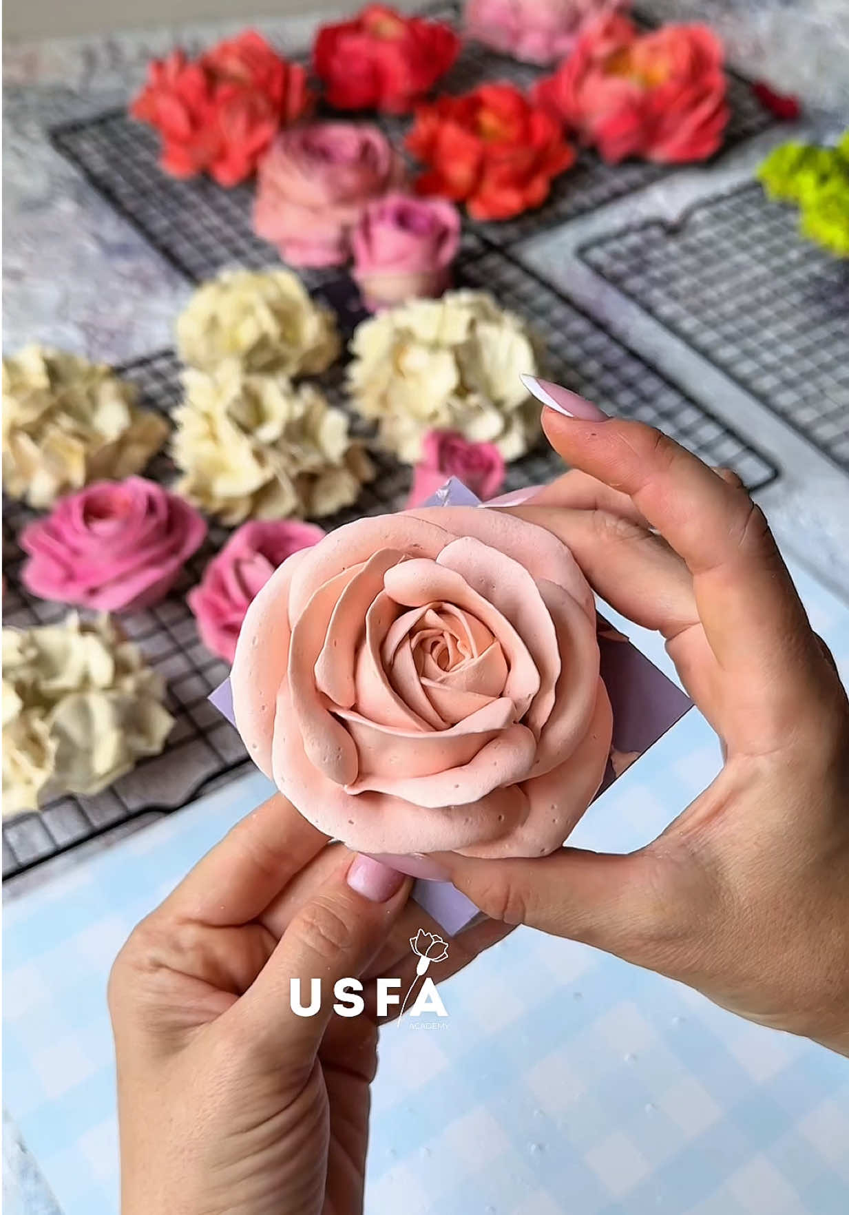 How a Zefir Rose Comes to Life