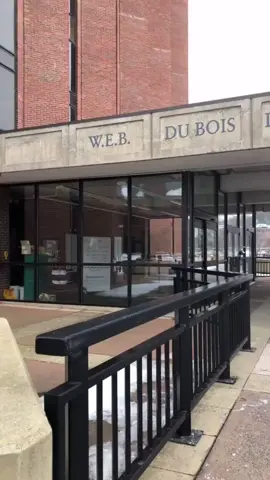 #foryou #trending #fy 