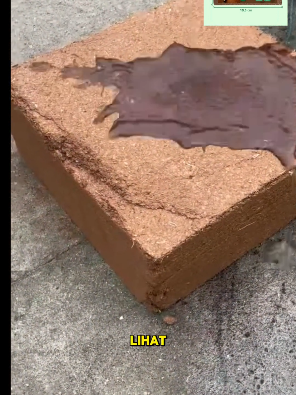 COCOPEAT !!! RENDAH ZAT TANIN DAYA SERAP AIR TINGGI #mediatanam #cocopeat #kebun #berkebundirumah #berkebun #menanamdirumah #menanam #berkebundirumahaja #petani #cuantanpabatas #belilokal #wibgajian #satukontensatuhari 