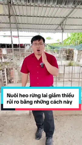 Nuôi heo rừng lai giảm thiểu rủi ro bằng những cách này#lonrung #heorunglai #nuoiheorunglai #nongnghiep #lamgiau #nongnghiephiendai #tietkiem #kithuatchannuoi #nongnghiepvietnam #nghechuchot #nuoiheorung #nongdan #nghenong #nghenghiepcuatoi #lamgiaukhongkho #mohinhnuoiheorung #ChanNuoiSach #nuoiheolamgiau #LearnOnTikTok #chuongheo 