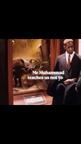 Malcolm X speaks the truth about pork — it’s filthy and forbidden. Islam prohibits what harms the body and soul. #MalcolmX #IslamicDiet #PorkIsHaram #TruthSpeaker #IslamicReminder #CleanLiving #DeenOverDunya #MuslimReels #HalalOnly #GuidedByIslam