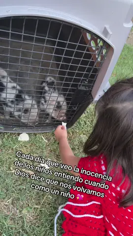 #buenas#noches 