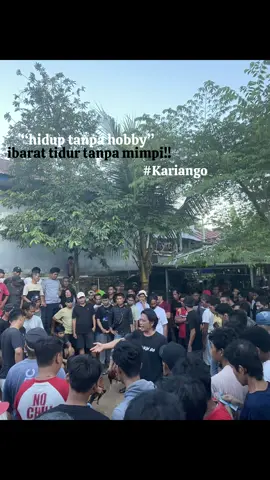 #ayamkampung #kariangopunya #kariangoitu 