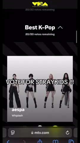 #fyp #viral #straykidsworlddomination #fypage #skzfyp 