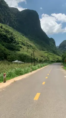 Neo Đậu Bến Quê#nhackhongloi #xuhuong #xuhuongtiktok 