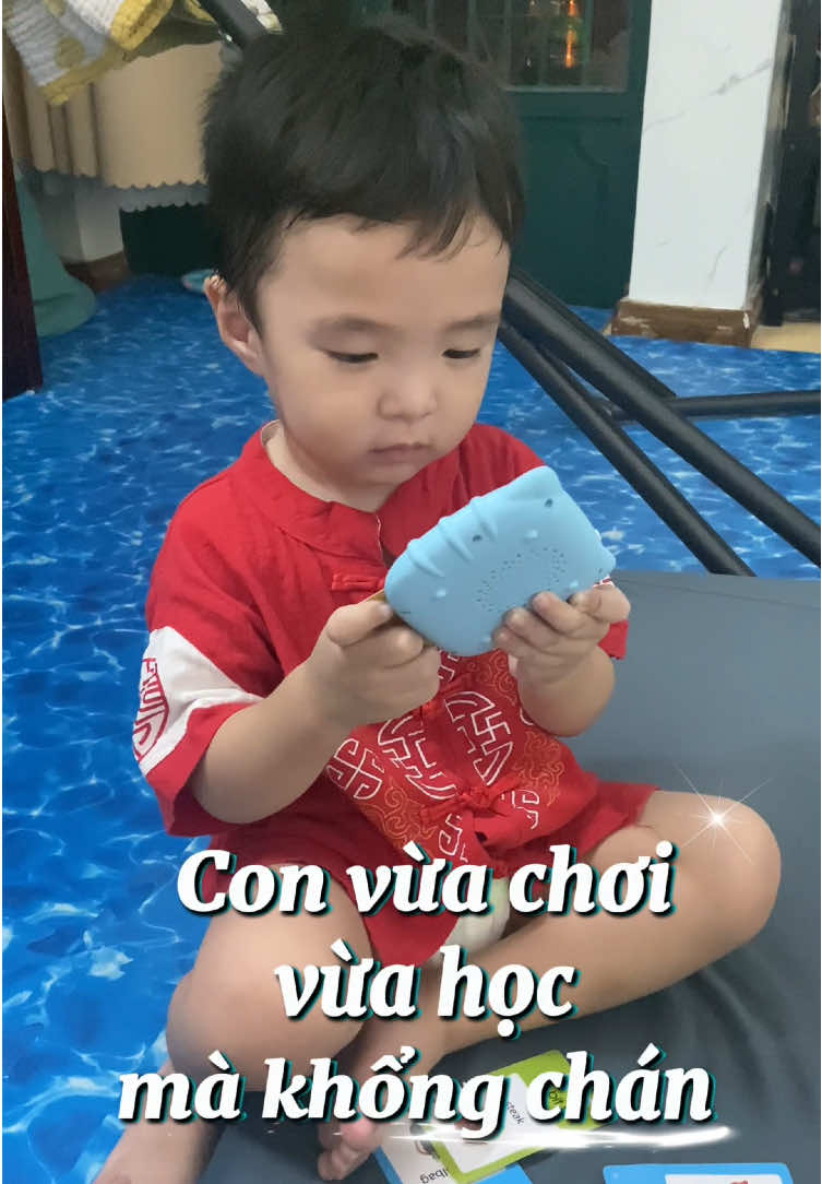 Cùng học cùng chơi với anh cả RIO bằng máy đọc thẻ song ngữ Anh - Việt. #meoioi #LearnOnTikTok #maydocthesongngu #mebimsuachamcon #đồchoithongminhchobe 