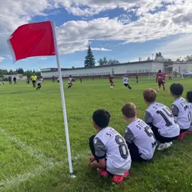 U10- Valdez squad had a very memorable season🦂 Great things ahead for these boys 🔥  #yegsoccer #football #SoccerLife #youthsoccer #alberta #canadasoccer #EMSA #EdmontonStingFC 