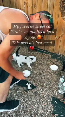 “Gru’s” last meal. 💔 🐈‍⬛ 