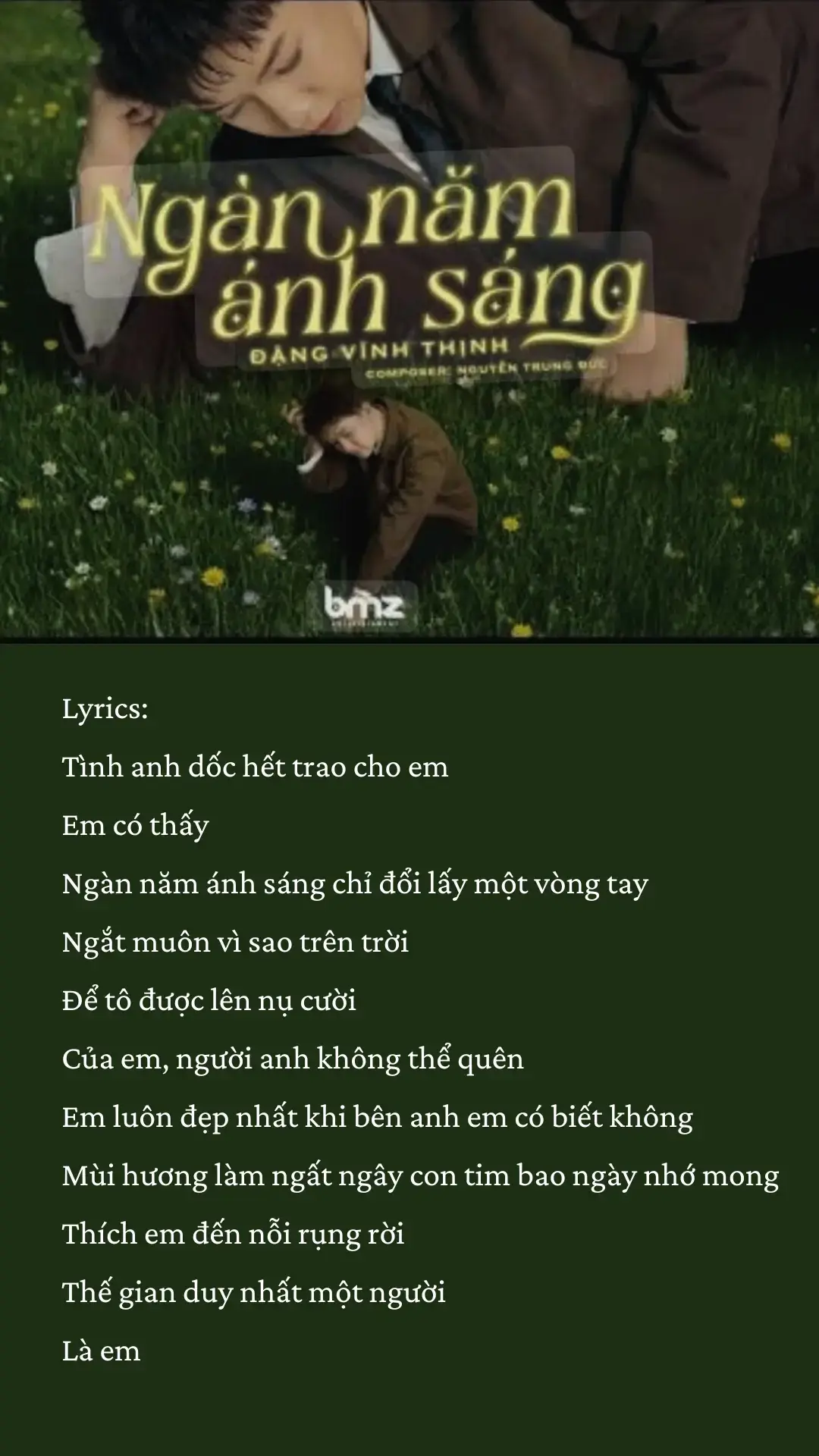 #ngannamanhsang #dangvinhthinh #nhachaymoingay #lyrics #fyp 