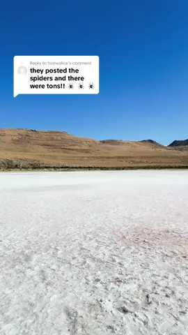 Replying to @homeslice must have been another part of the lake. 🤷🏼‍♀️