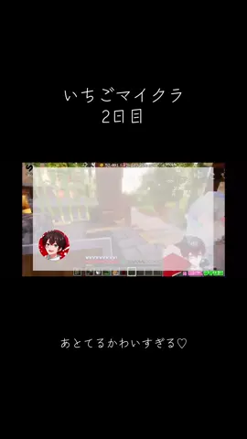 てるとくんにメロメロなあっとくんがかわいすぎる😭 #STPRCLIP #stprclip #いちごマイクラ #いちごマイクラ切り抜き #あっとくん #てるとくん 