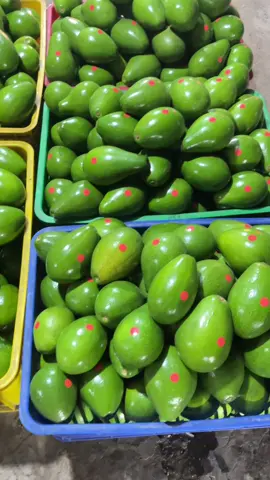 cantik mulus di luar legit kuning creamy di dalam alpukat spek dewa siap di kirim ke kalian dimanapun berada  ☎️ 0812-9282-2412 #alpukat #alpukatmentega🥑 #alpukatmentega #alpukatspekmarket #alpukatbali #alpukatbekasi #alpukattanggerang #alpukatjakarta #tokobuah #alpukatnusantara #cikarangsetu #setucikarang #alpukatcikarang #spekmarket