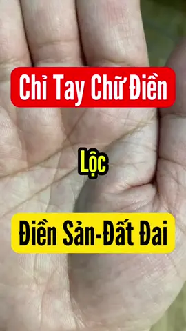 Bàn tay có lộc đất đai, điền sản |Zal0: 035.6868.967 để xem chi tiết #chitay #xemchitay #chitaytailoc #xuhuong #viral 