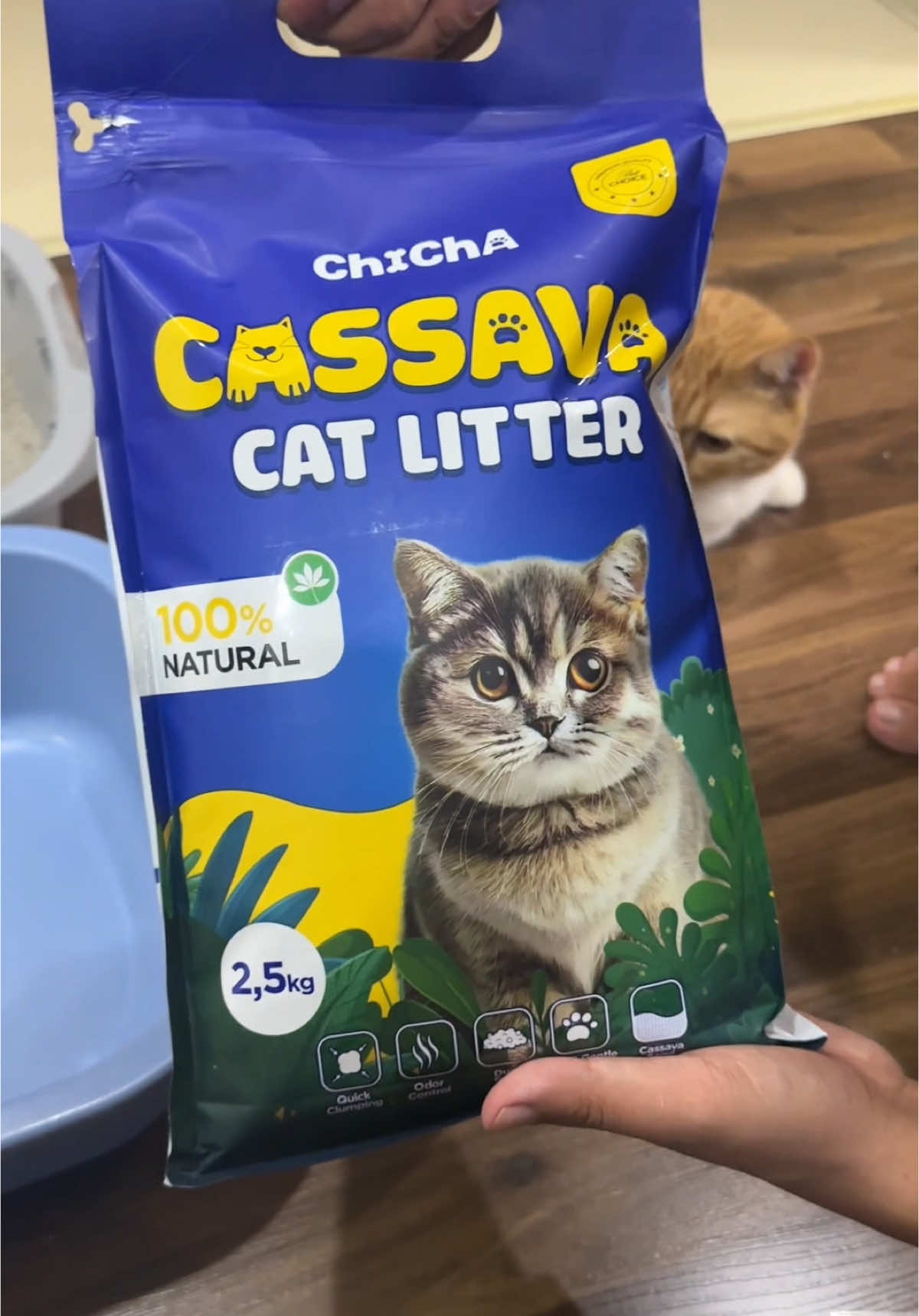 Đã test và xịn thật ạ #catvesinhchomeo @Em Bé Mỡ 🐈‍⬛ @Alone 