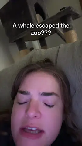 #sisters #of #tiktok #can #relate