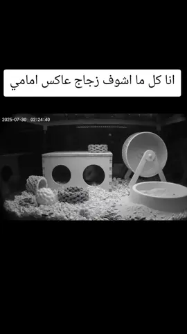 #سبحان_الله_وبحمده_سبحان_الله_العظيم 