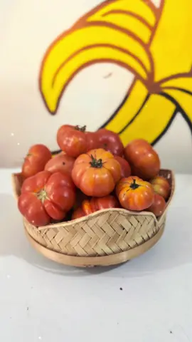 Tomat ranti ready di omah buah fadya🧚🏻🍅 #tomat #tomatranti #sambeltempong #jogja #omahbuahfadya #fyp 
