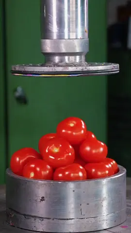 Relaxing and mesmerizing, explore this and more on @HPC Official!  #amazing #asmrfood #satisfyingvideo #asmrtiktoks #satisfying #asmrvideo #asmrsounds 