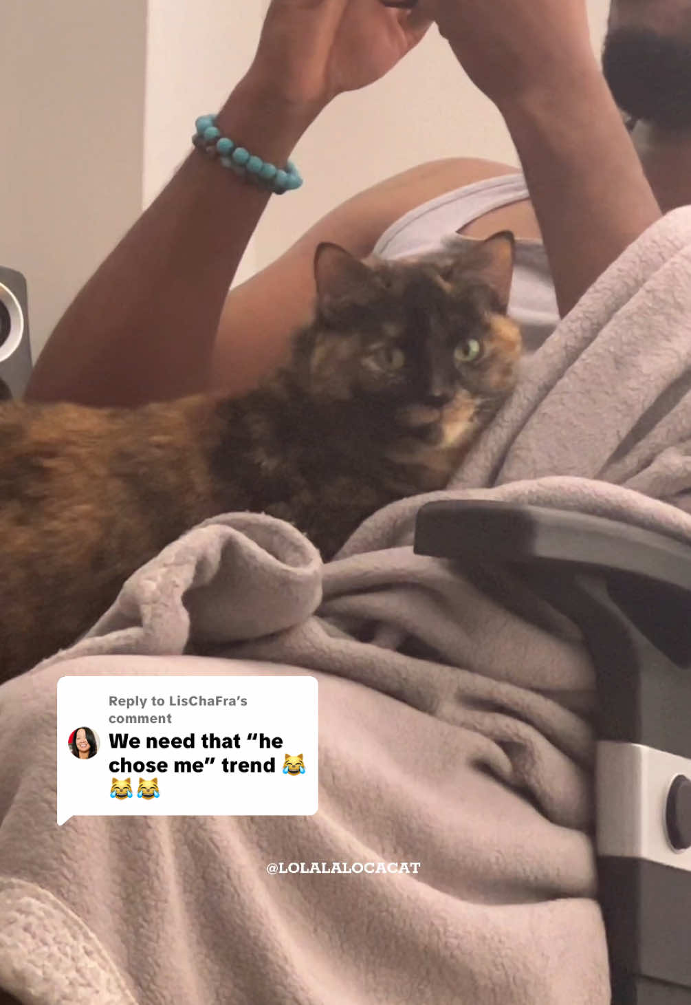 Replying to @LisChaFra #cat #catvideos #catsoftiktok 