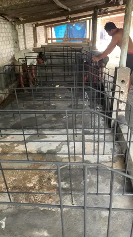 🐷