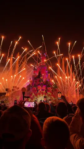 Me & you Disneyland together ✨❣️🪄 #disneyland #paris #fyp #explore 