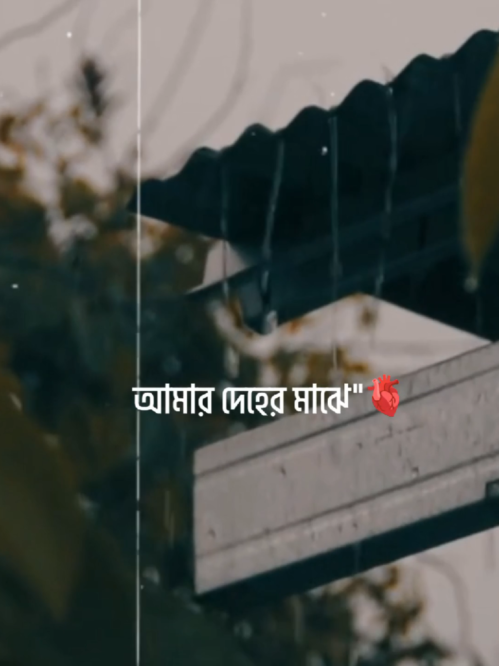 Amar Deher Majhe