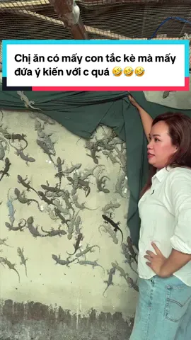 Chị ăn có mấy con tắc kè mà mấy đứa ý kiến với chị quá 🤣🤣🤣#tamhuynh #xuhuong #traitackephuchau 