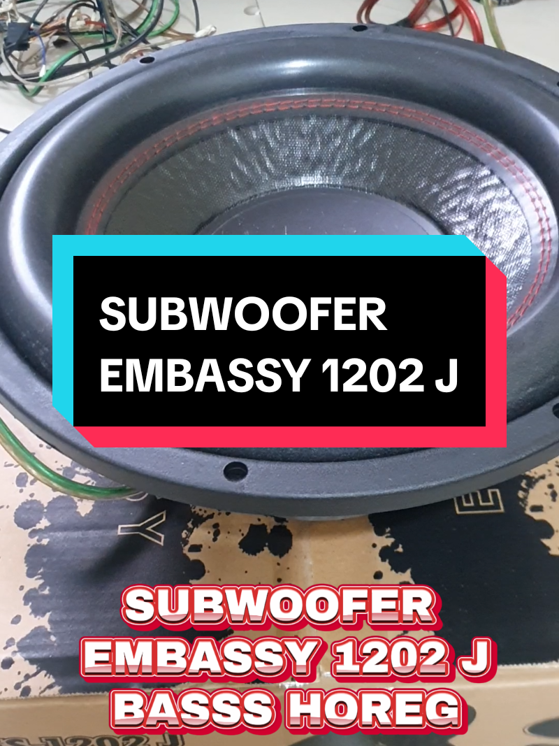 SUBWOOFER EMBASSY 12O2 J #fyp #embassy #speaker #subwoofer #modalkontendoang #foryou 