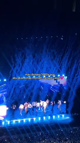 🩷🩵 #carat #seventeen #fyp 