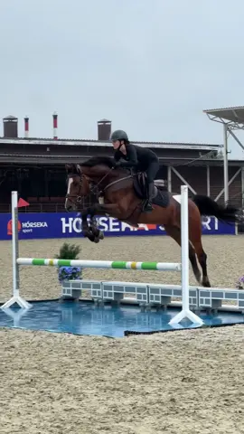 My private jet 🛩️  #horse #equestrian #horseedit #fyp #equestrianlife #showjumping #конныйспорт #лошади #конкур 