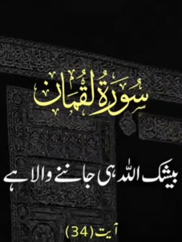 #Allah #alquran #foryou #goviral #qurantranslationurdu #islamic_video #foryoupage 