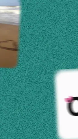 #CapCut 