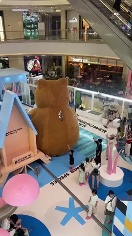 #Cat climbs giant teddy bear display #awareness #Advice #positivity #motivation #Inspiration #encouragement #cats 