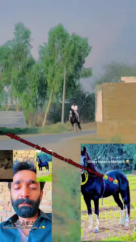 husan e mansoor no more#fypシ゚ #fyp #fypシ゚viral #fypage #for #foryou #foryoupage #foryoupageofficiall 