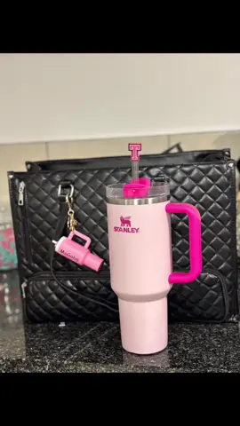 A perfect bag for a corporate girl🥹 Love at first sight🔥❤️ #corporatelife #totebags #shein #StanleyCup 