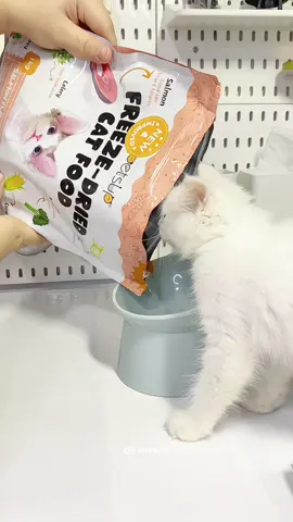 Health Dryfood for your cat? check this one from PETS UP #petsup #petsupcatfood #catfood #cat 