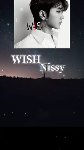 『WISH』Nissy｜04 キム秘書のパクミニョンさんと共演したことで話題になった曲です🎧歌声聞く用です。素敵な歌詞なので歌声+歌詞にも注目して聞いてみて下さい。光の点滅あります。#Nissy#WISH#エフェクト使用#パクミニョン 