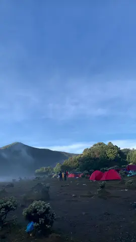 Gunung ngajarin sabar, Surya Kencana kasih hadiah surya kencana📍5 agustus 2025 #alunalunsuryakencana  #mtgede2958mdpl  #gununggede  #foryou #mountain #tektok #foryou #Hiking #fyp 