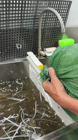 Làm ngộp cua #phuongoanhdaily #oanhcua #cuakhongday 