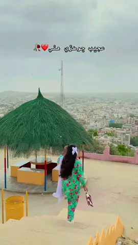 🥀 #viralvideo #foryoupage #fyp #sindhigirl 