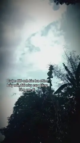 #xuhướng 