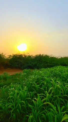 #سورة_الروم #فَسُبْحَانَ اللَّهِ حِينَ تُمْسُونَ وَحِينَ تُصْبِحُونَ#سعود_الشريم #تلاوة_خاشعة #🤍أحمد_الشهري🤍 #أكسبلور #صدقة_جارية #اذكروني_بدعوه_بظهر_الغيب #🤍أحمد_الشهري🤍 #لاتنسوا_لايك_ومتابعة #ارح_سمعك_بالقران #ارح_سمعك_بالقران #تلاوة_خاشعة_تريح_القلب_والعقل🎧😴 #🤍أحمد_الشهري🤍 #أكسبلور #تلاوات_نادره 